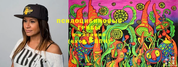 крисы Баксан