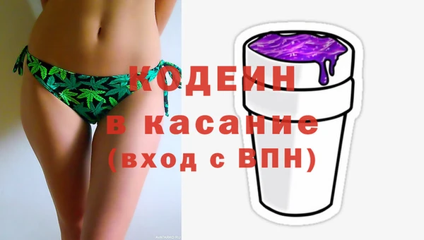 крисы Баксан