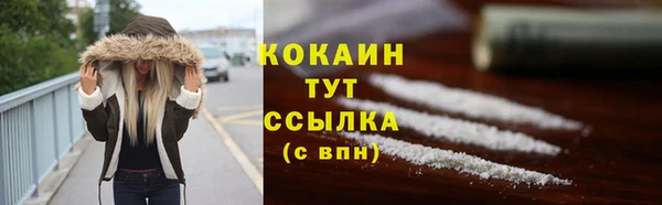 крисы Баксан