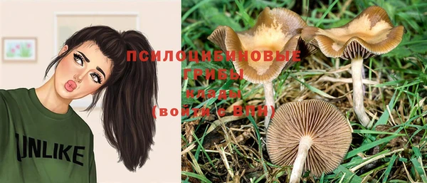 соль курить ск Балабаново